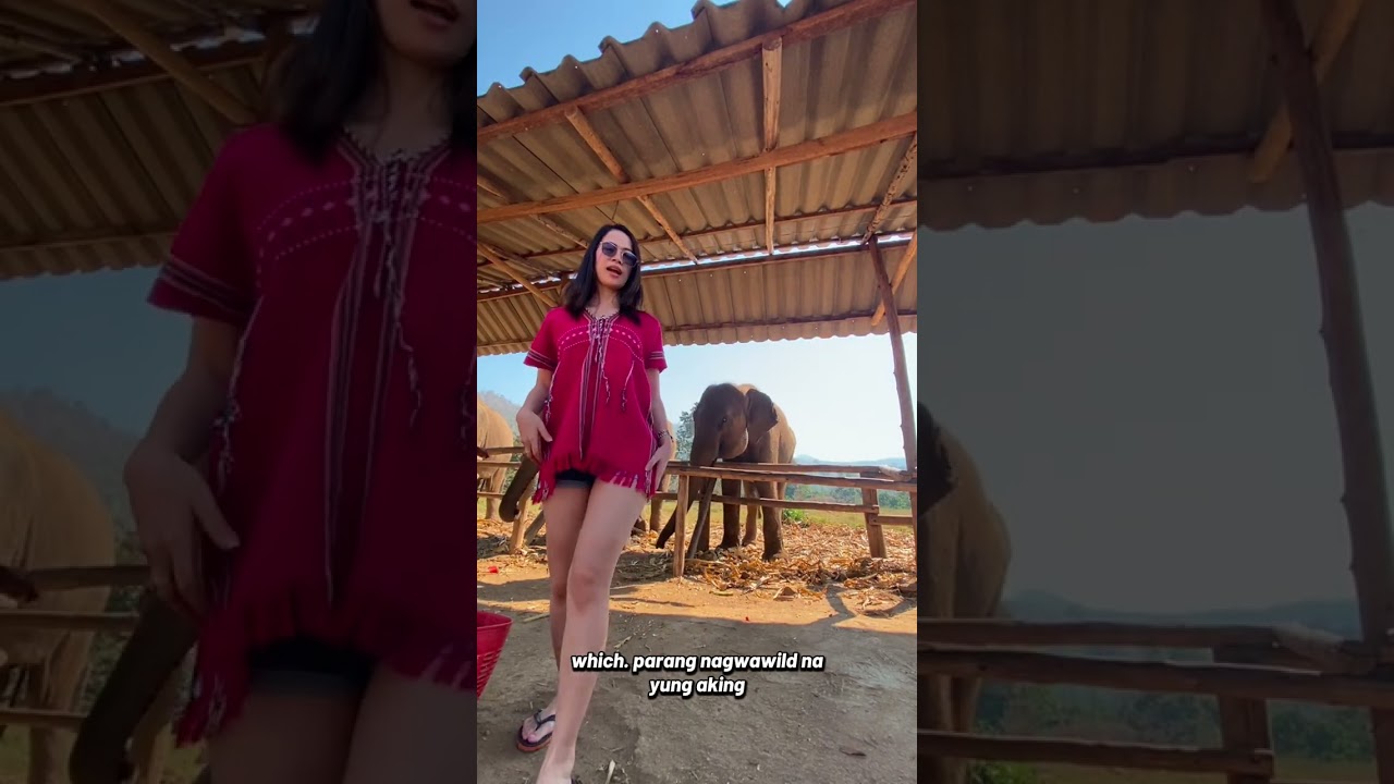 A DAY WITH ELEPHANTS AT CHIANG MAI 2023 