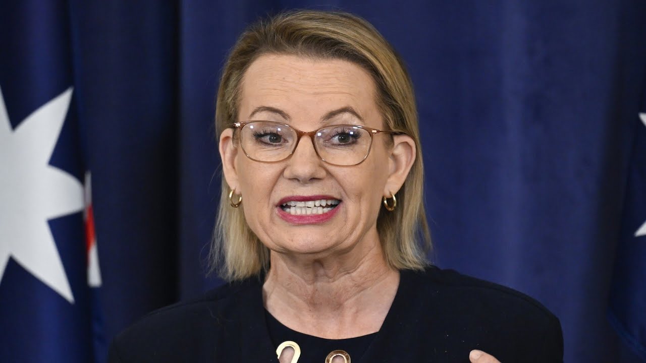 ‘A complete circus’: Liberal Party blasted for ‘straying away’ from conservative values