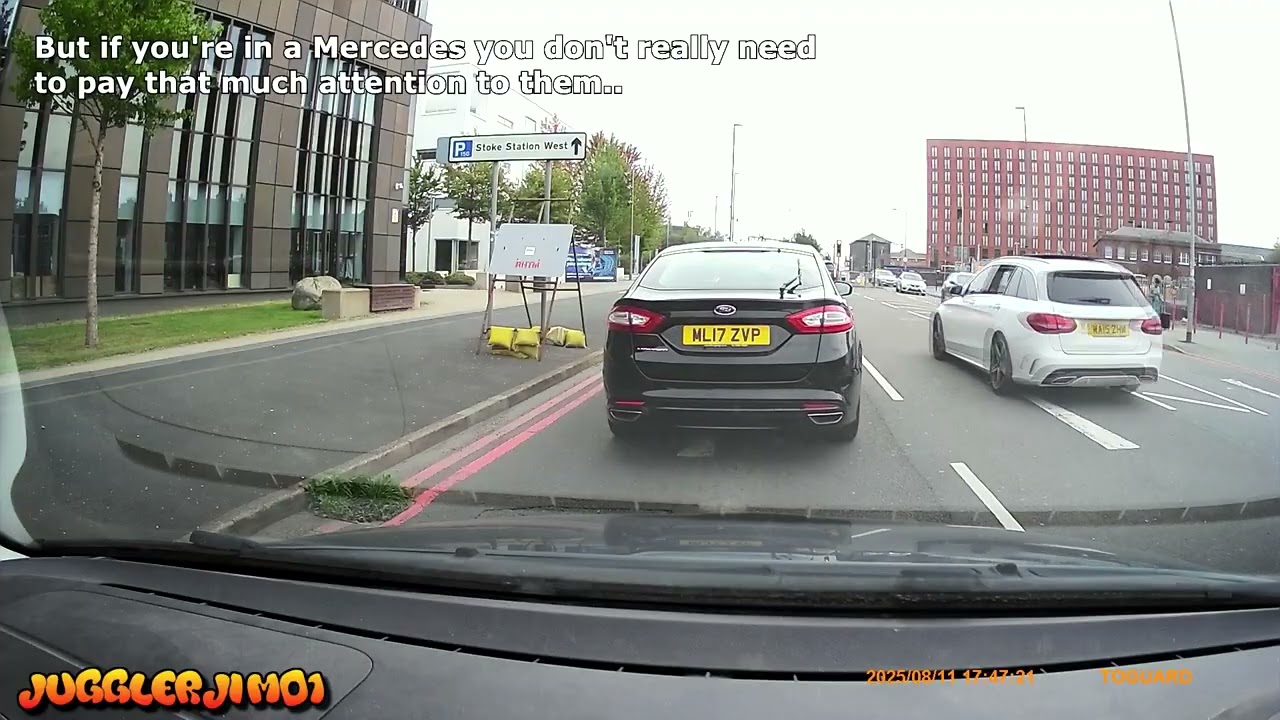 Петух дня № 371 - август 2025 г.