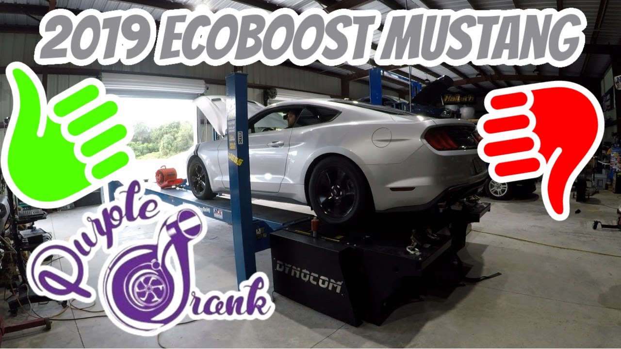 2019 EcoBoost Making Killer Power! - PD Tuned