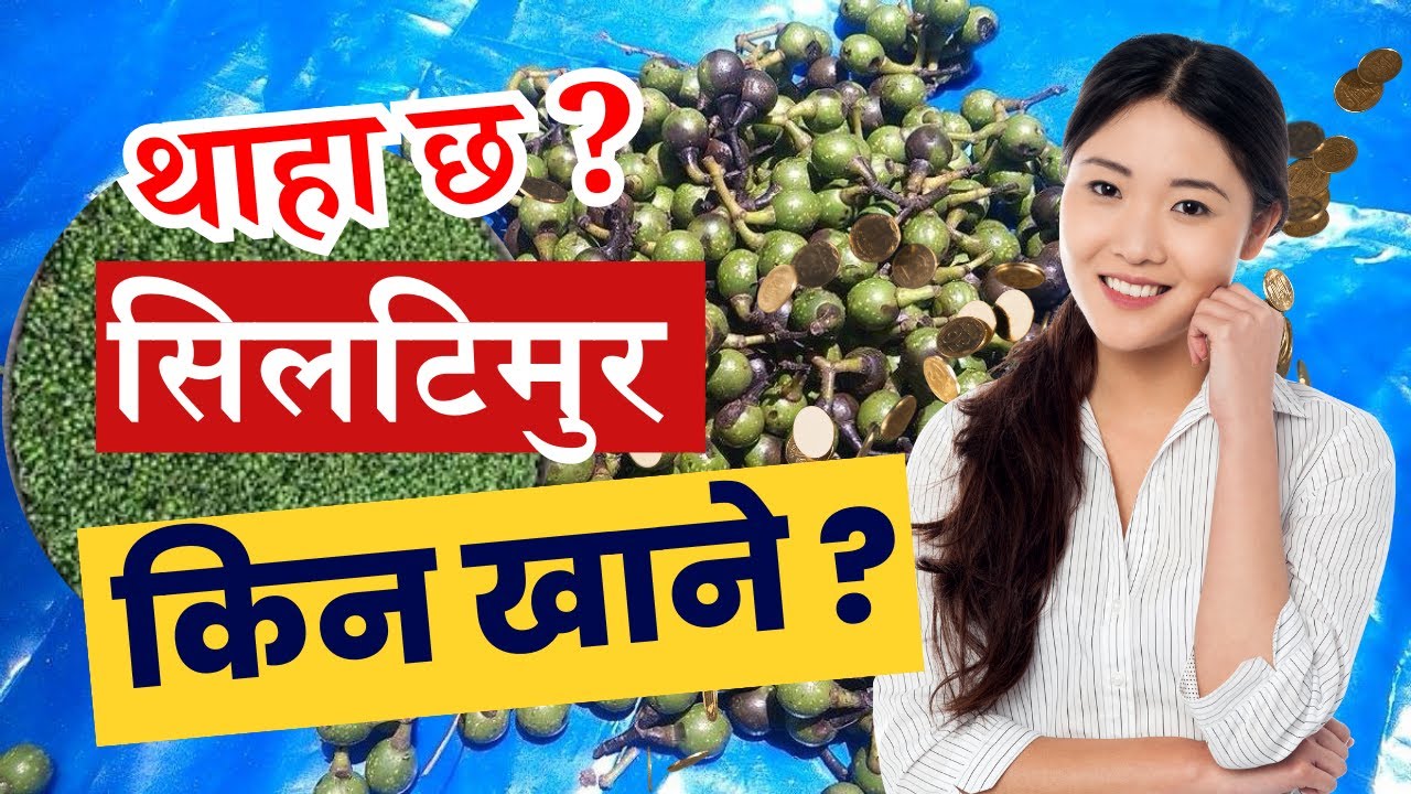 Why Siltimur Eat for. || Benefits of Siltimur for Health || Siltimur सिलटिमुर