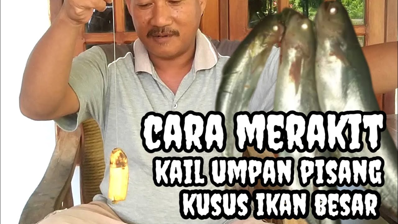 Tutorial cara merakit kail umpan pisang Tanpa memotong motong pisangnya dan memasangnya Tuk ikan Bsr