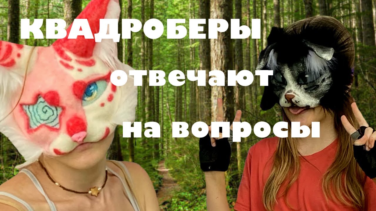 КВАДРОБЕРЫ ОТВЕЧАЮТ НА ВОПРОСЫ /буллинг в школе?/