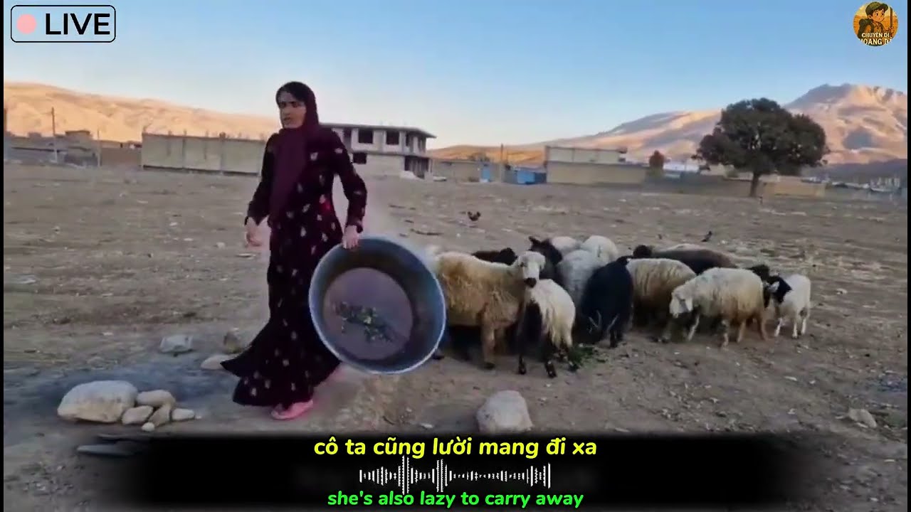 Phần 178 – Sau bao sóng gió, Abu và vợ cả quyết tâm mua nhà để ổn định cuộc sống! 💖🔥