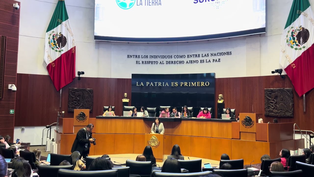 Participación maternidad en prisión | Senado de la República 