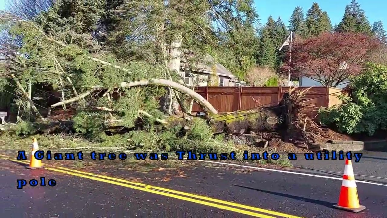 The Bomb Cyclone Aftermath