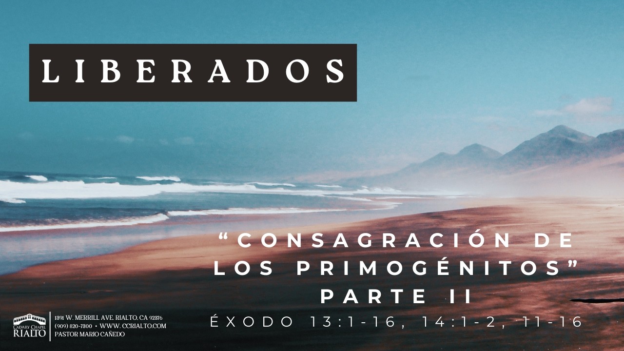 Consagración de los Primogénitos Parte II - Éxodo 13:1-16, 14:1-2, 11-16