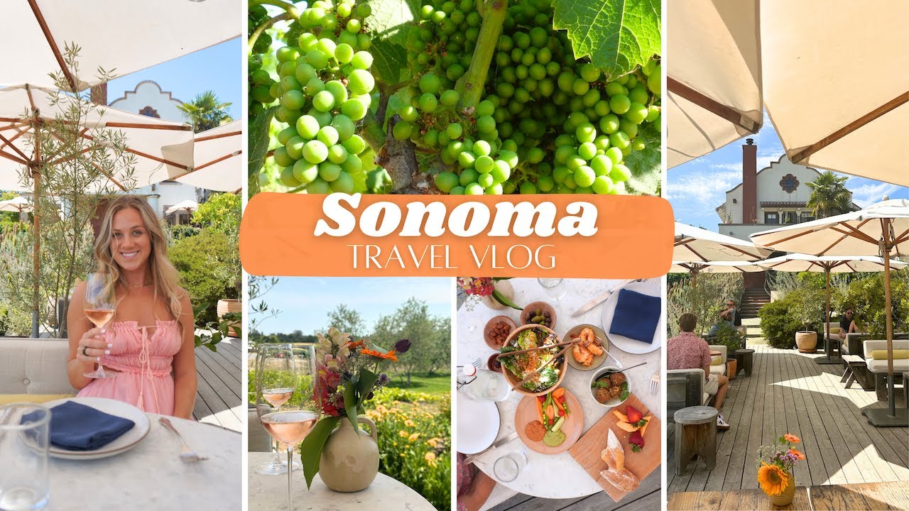 CALIFORNIA TRAVEL VLOG 🍇 PT 3 | Wine tasting 🍷 in Sonoma, Road tripping, and Exploring Santa Rosa