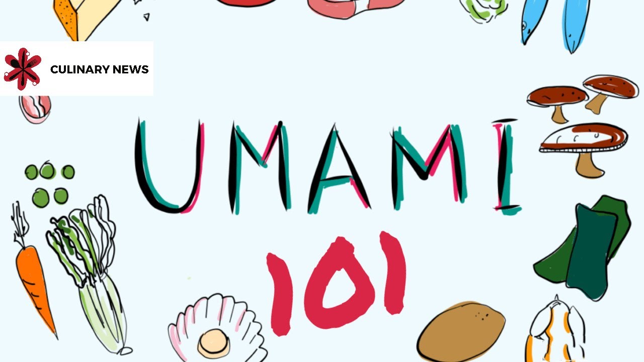 Umami Explained | What Is Umami | What Does Umami Taste Like | Umami: The 5th Taste | Umami and MSG