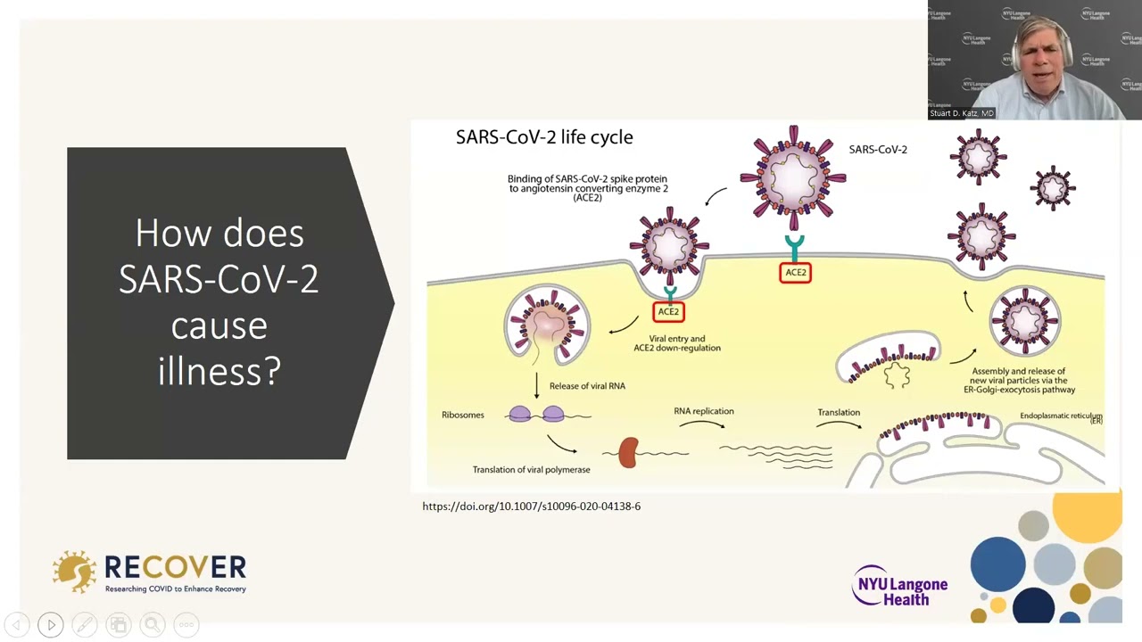 Effects of COVID-19 on the Cardiovascular System