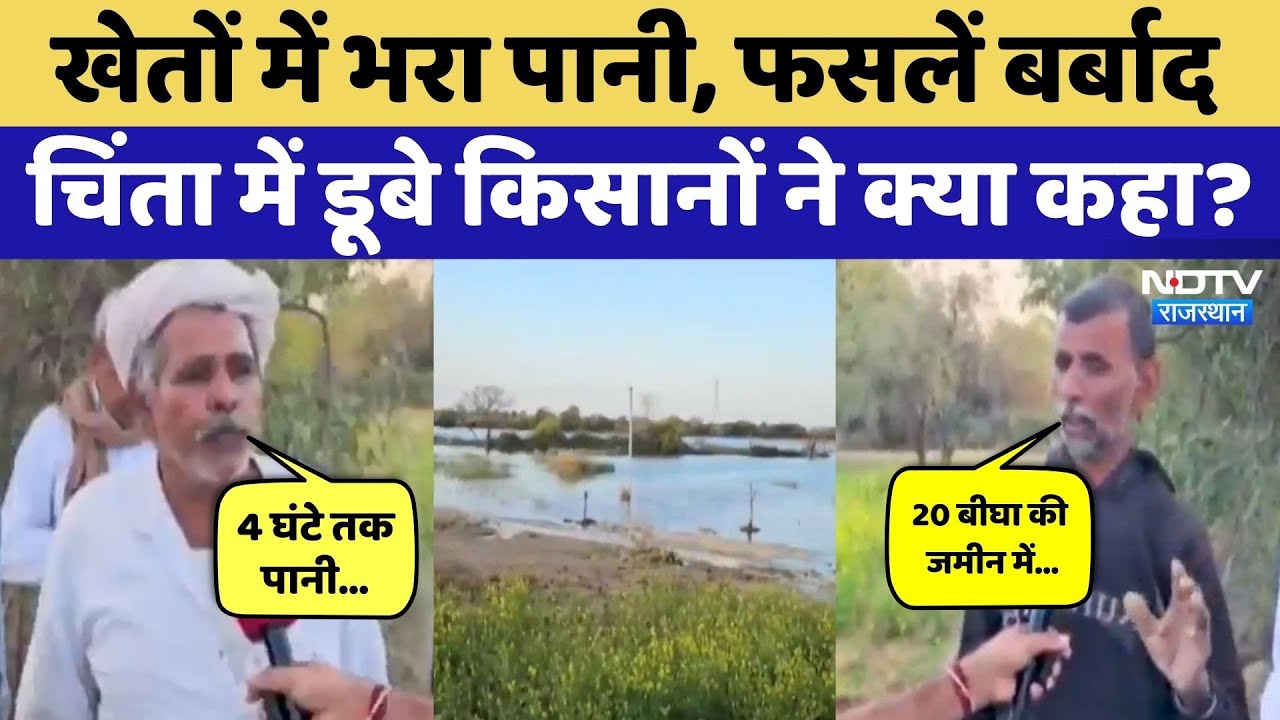 Sanchore News: फसलें बर्बाद, 12 से ज्यादा खेतों में भरा पानी, चिंता में डूबे किसान! Farmers News