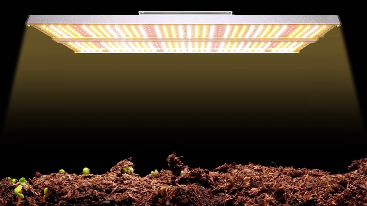 Sayhon SH series LED grow lights