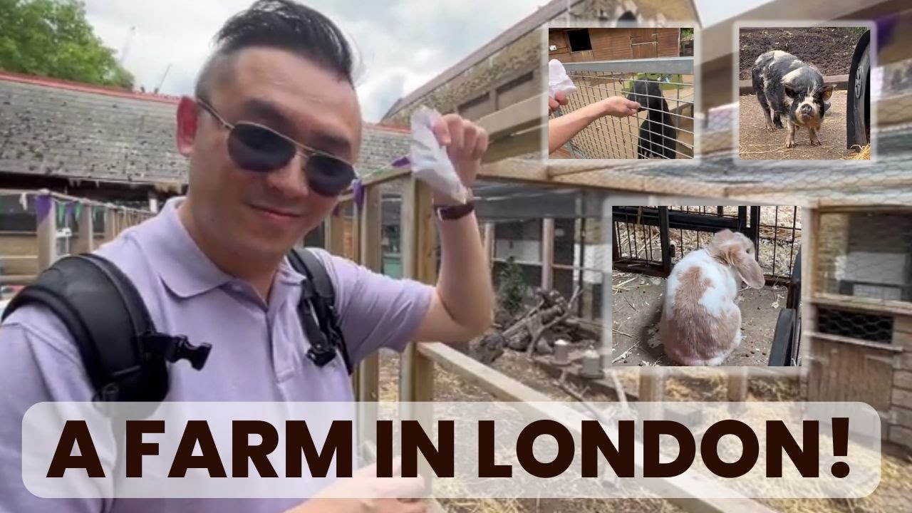 A farm in the middle of London!