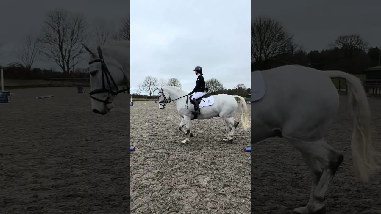 Izzy W & Clarkstown Ronnie