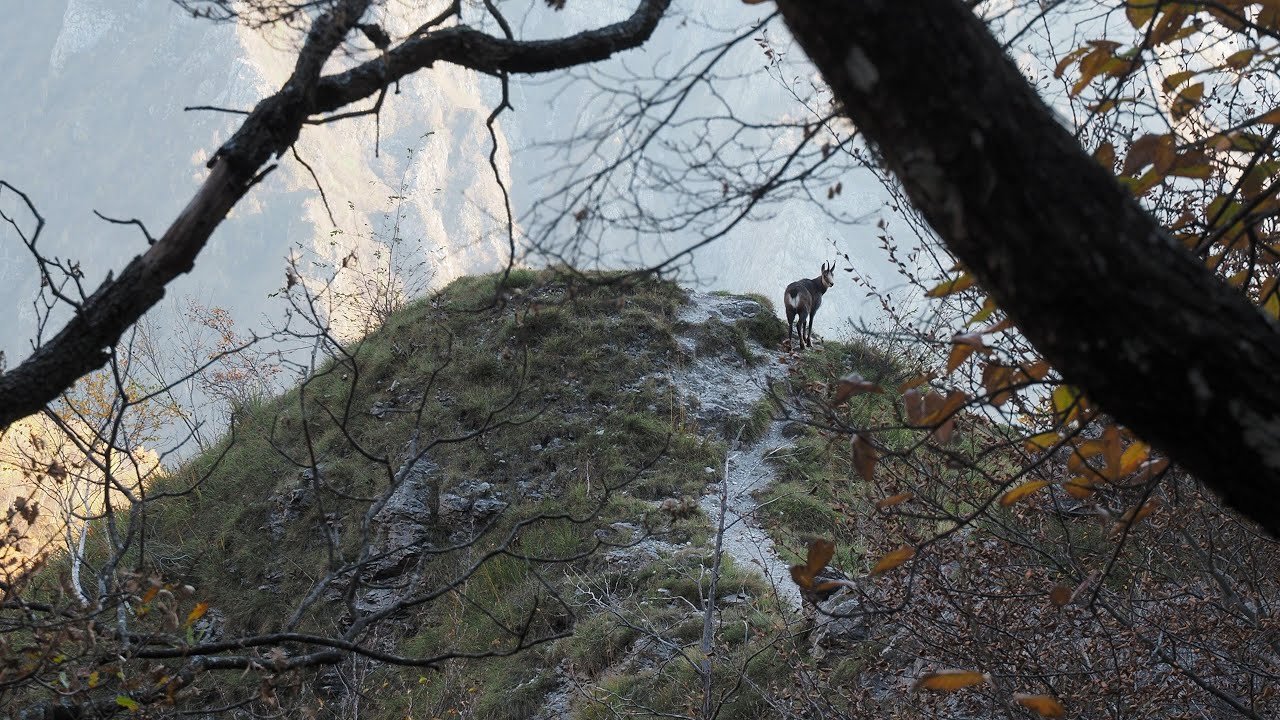 Capturing Beauty in the Alps - Sentiero del Fiume