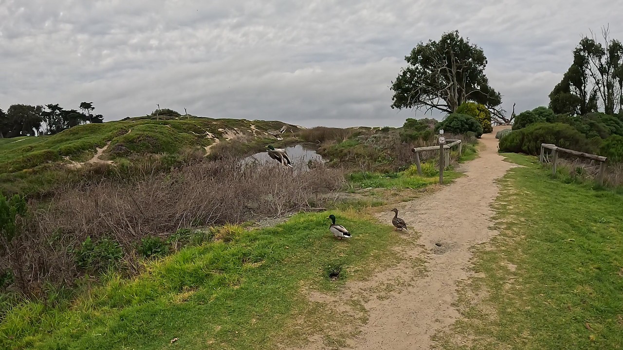 Pismo Beach California Beach Walking Ambiance - Meadow Creek Trail Head to Pismo State Beach