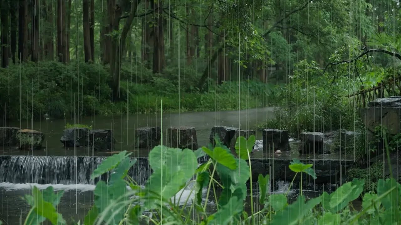 The beautiful little river is raining(162) , sleep, relax, meditate, study, work, ASMR