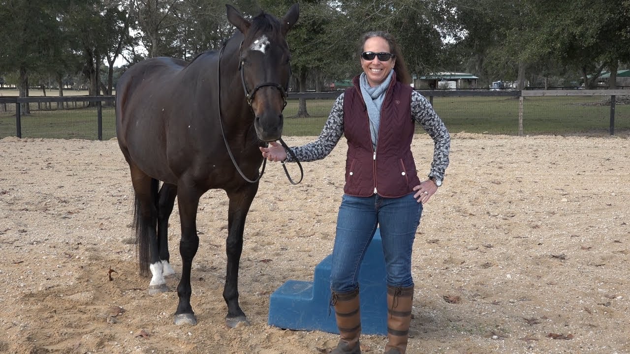 Why Straightness Matters to Your Riding
