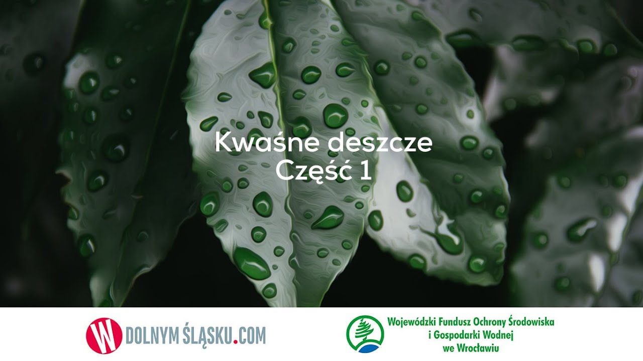 Kwaśne deszcze Część 1
