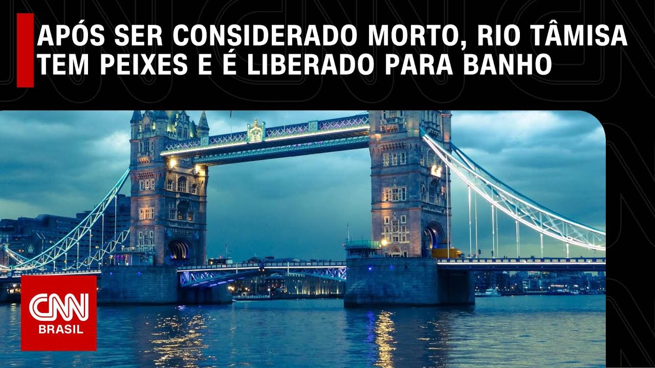 Após ser considerado morto, rio Tâmisa tem peixes e é liberado para banho | LIVE CNN