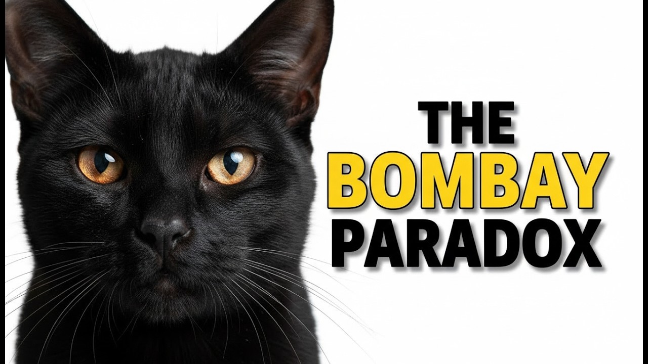 The Bombay Cat Paradox: When Design Collides With Human Instinct.