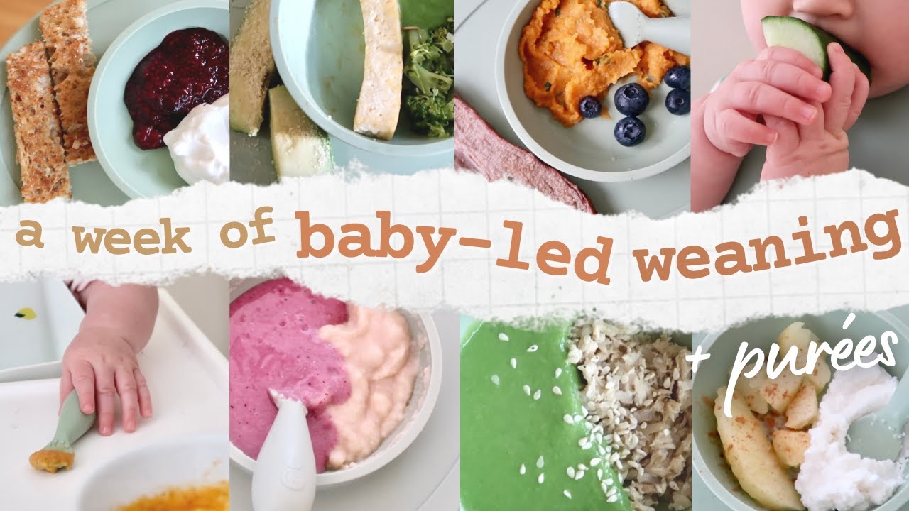 Что ест мой 8-месячный ребёнок за неделю | Введение прикорма по программе Baby-Led + пюре