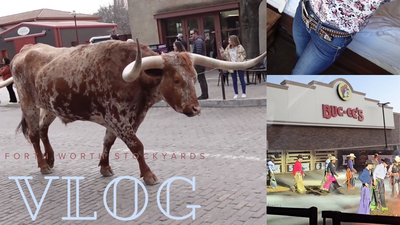 Fort Worth VLOG. Cattle Drive and PBR!