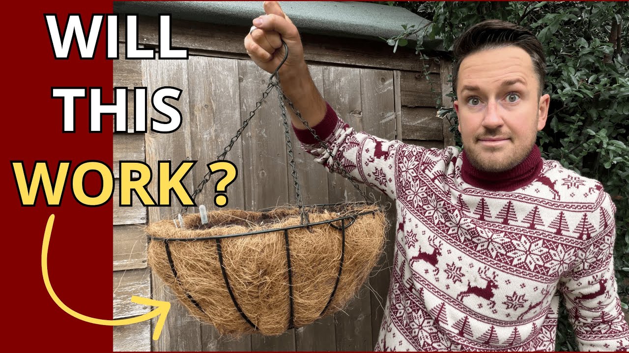 Spring Bulbs in Hanging Baskets...This Might Fail!