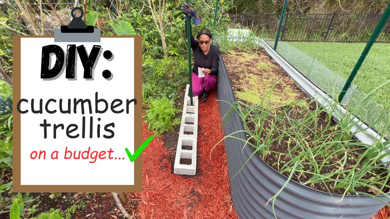 DIY Cucumber Trellis Under $30!!!