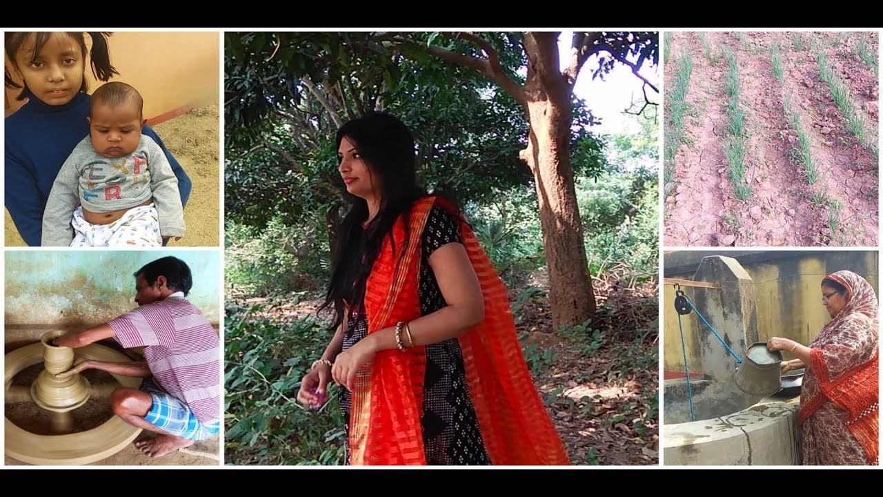 My village tour II Beautiful village II Indian vlogger pinki