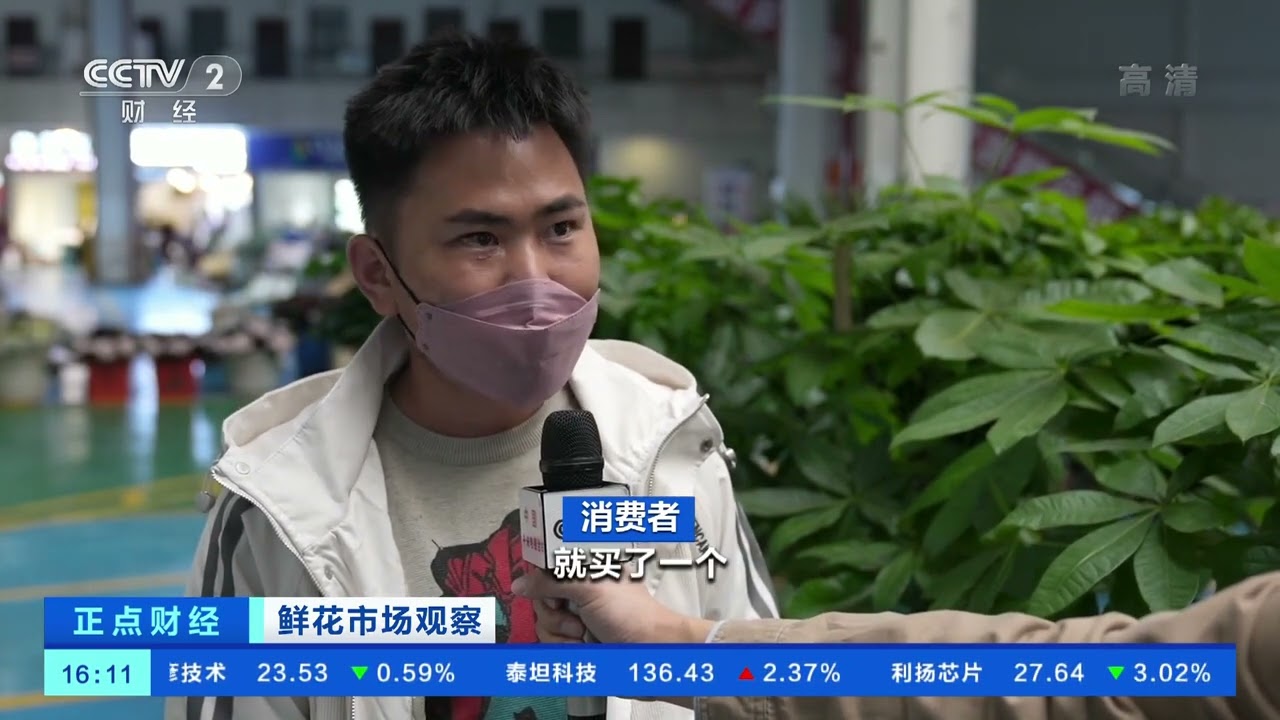 [正点财经]鲜花市场观察 云南昆明：年宵花登场 花卉绿植销售迎来旺季|CCTV财经