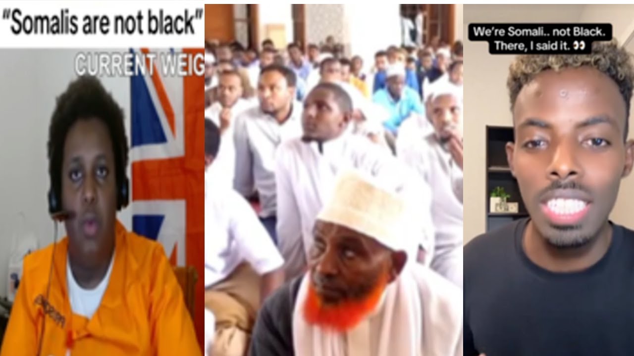 Когда кролик получает ружье, это совсем не весело | Сомалийцы учатся на собственных ошибках