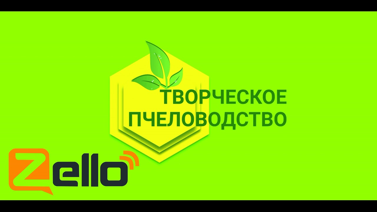 Общение о разном. Эфир 8.01.2022г.