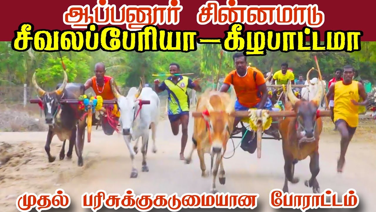 ஆப்பனூர் சின்னமாடு மூன்றாம் சுற்று பந்தயம்