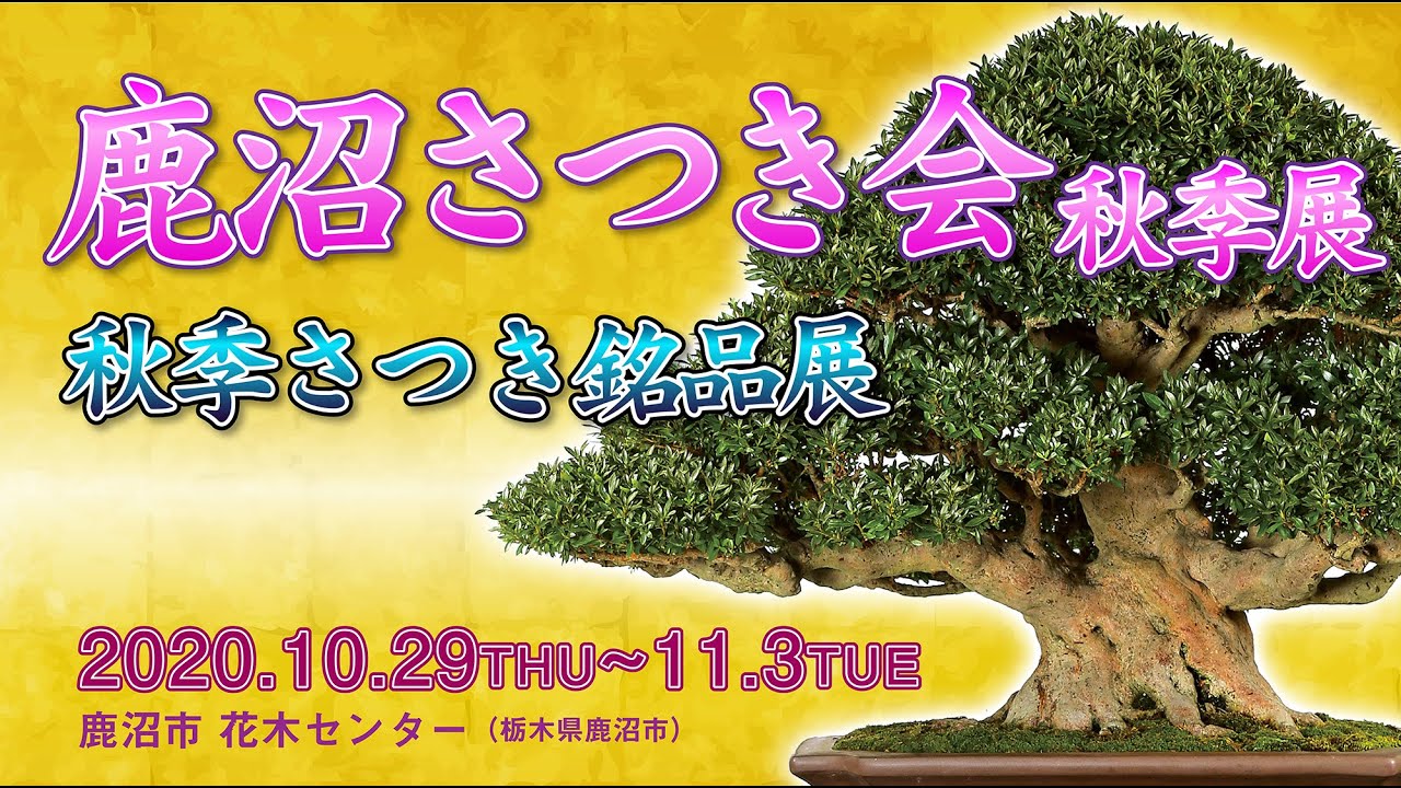 第25回 秋季さつき銘品展　in 鹿沼市花木センター（栃木県鹿沼市）