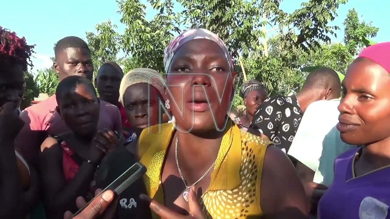 ZUNGULU:Omusawo w'ekinnansi e Mityana yasindikidde omubbi enjuki nezimukwata
