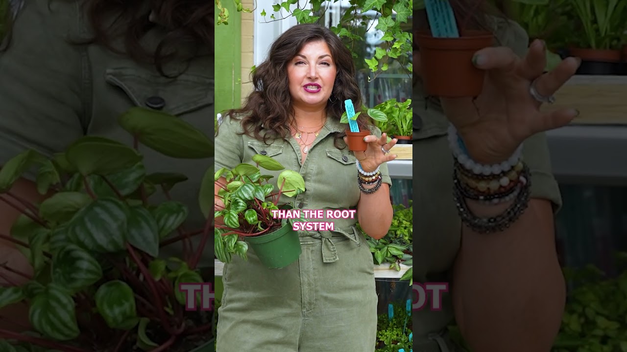 Are you a beginner plant parent? This tip is for you!