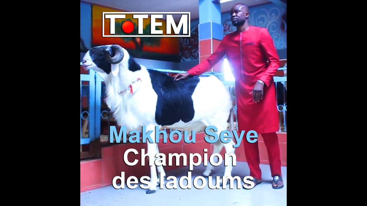 Plus de 40 millions de Fcfa pour le meilleur ladoum du Sénégal !