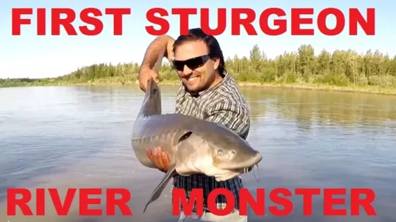 North Saskatchewan River Sturgeon Fishing with Deeper Sonar