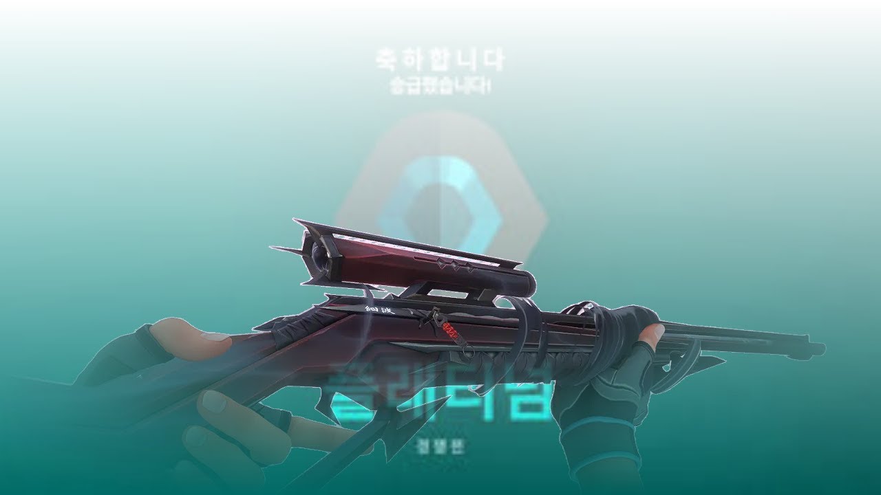 11년생 서리의 마샬