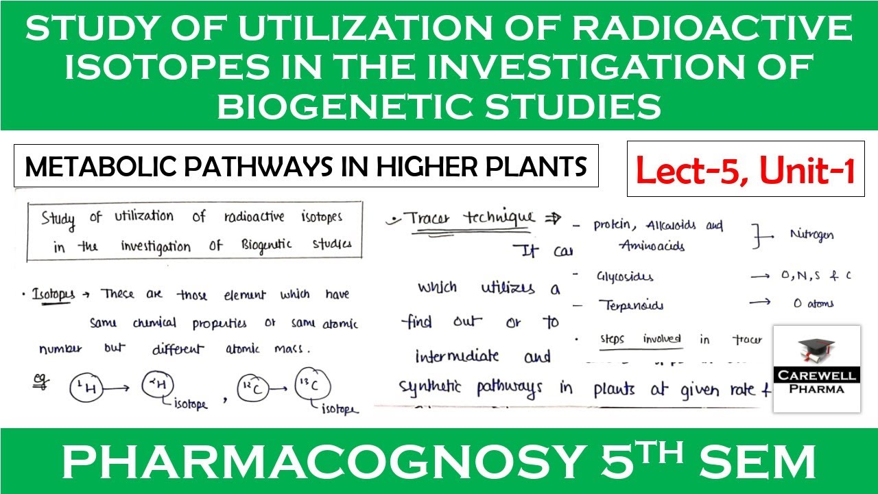 Study of Utilization of Radioactive Isotopes in the Investigation of Biogenetic Studies || L-5 U-1