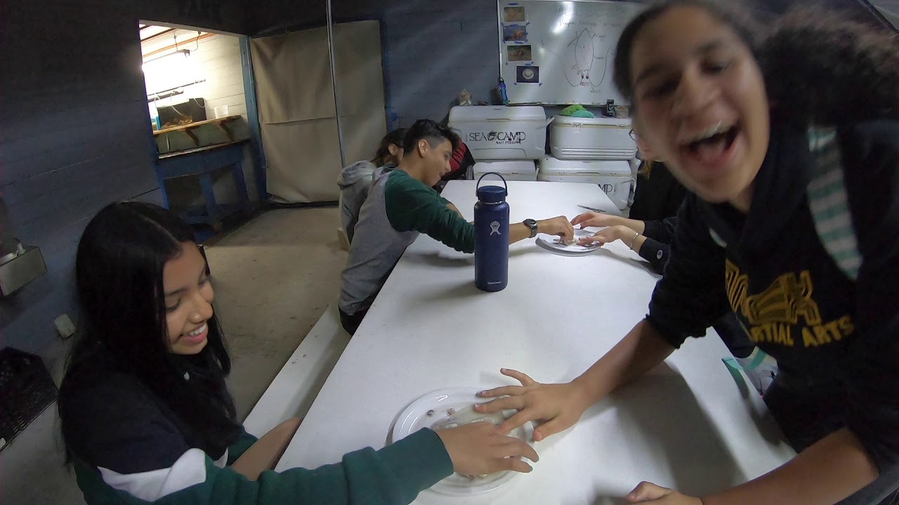 SEA CAMP 2019