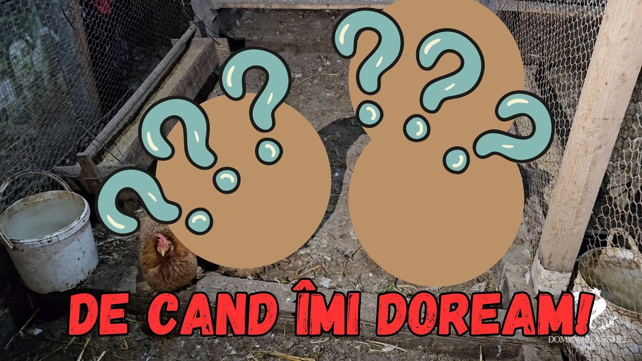 Nu pot sa cred ca le-am adus în ferma!