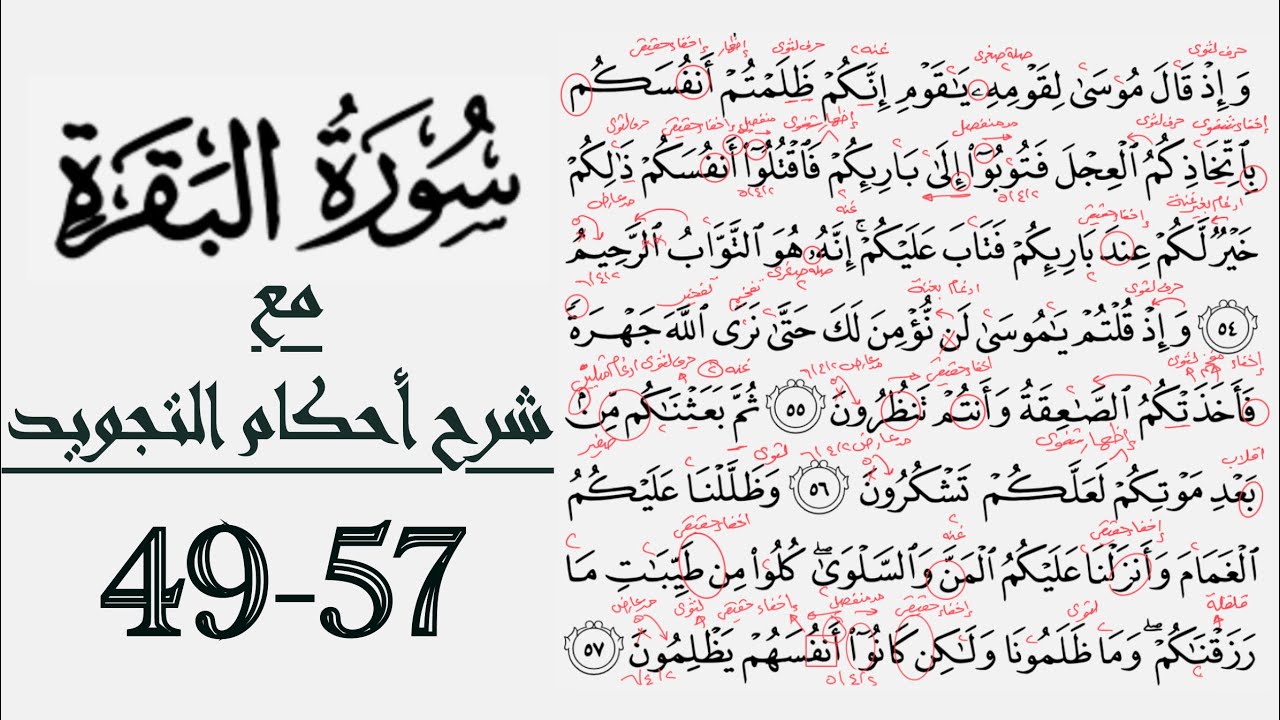 كيف تقرأ سورة البقرة مع شرح أحكام التجويد| ٤٩-٥٧