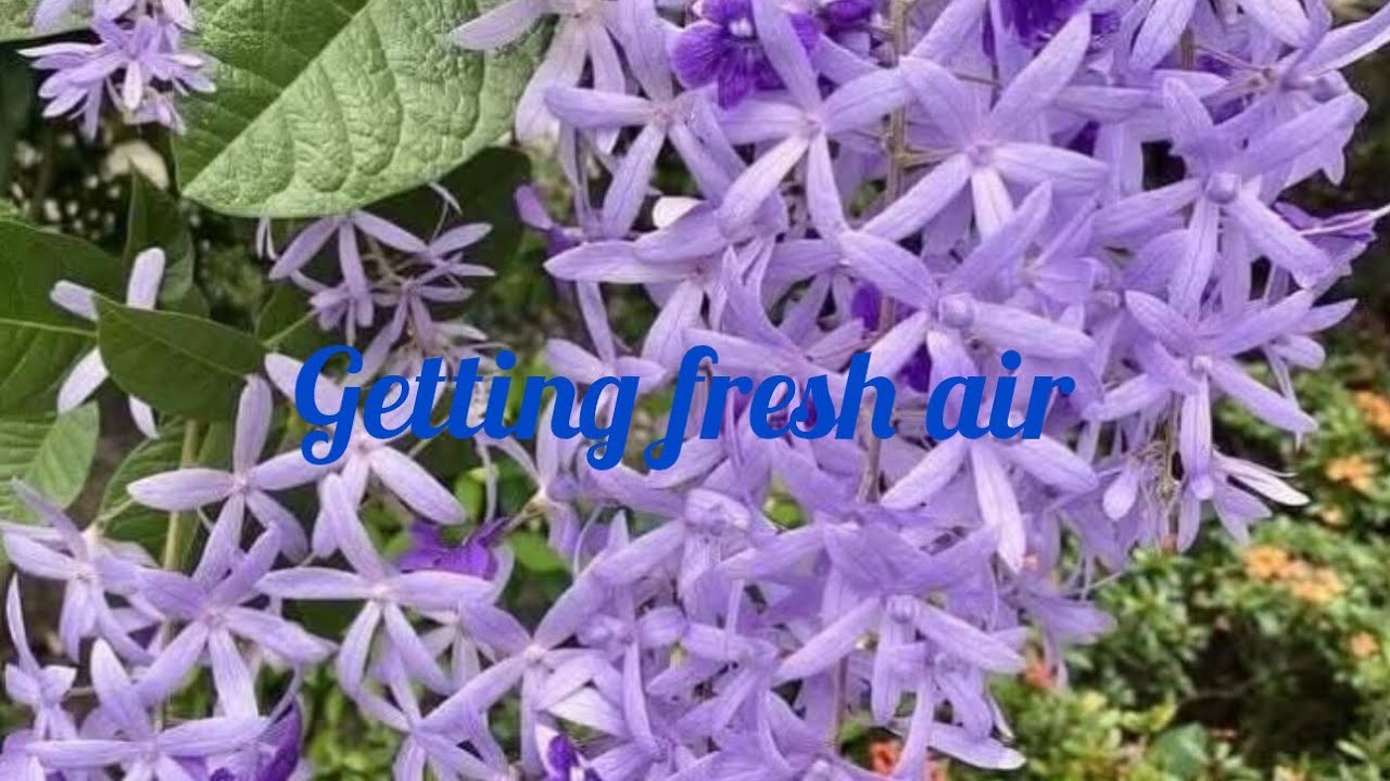 Ayuma Kitchen is live: After the rain fall, some moment outside away from the kitchen #seo