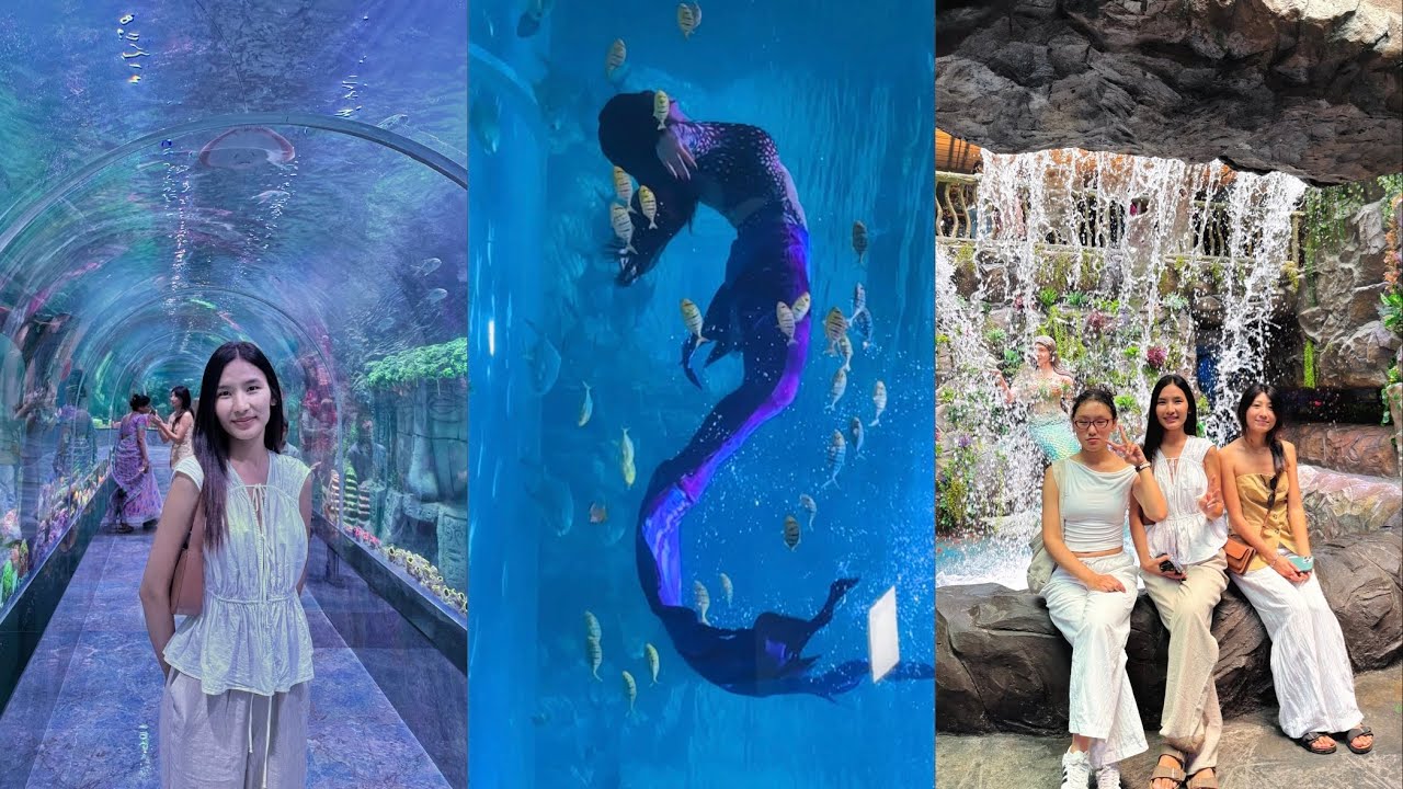 Exploring Aquarium Paradise Bangalore📍 Live Mermaid 🧜🏼‍♀️ 😍