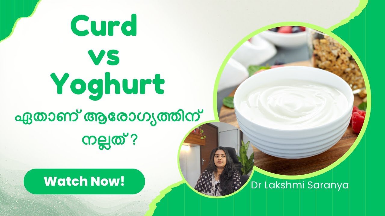 യോഗർട്ടും തൈരും ഒരുപോലെയാണോ? ഏതാണ് ആരോഗ്യത്തിന് നല്ലത്? | Curd vs Yogurt Explained Malayalam