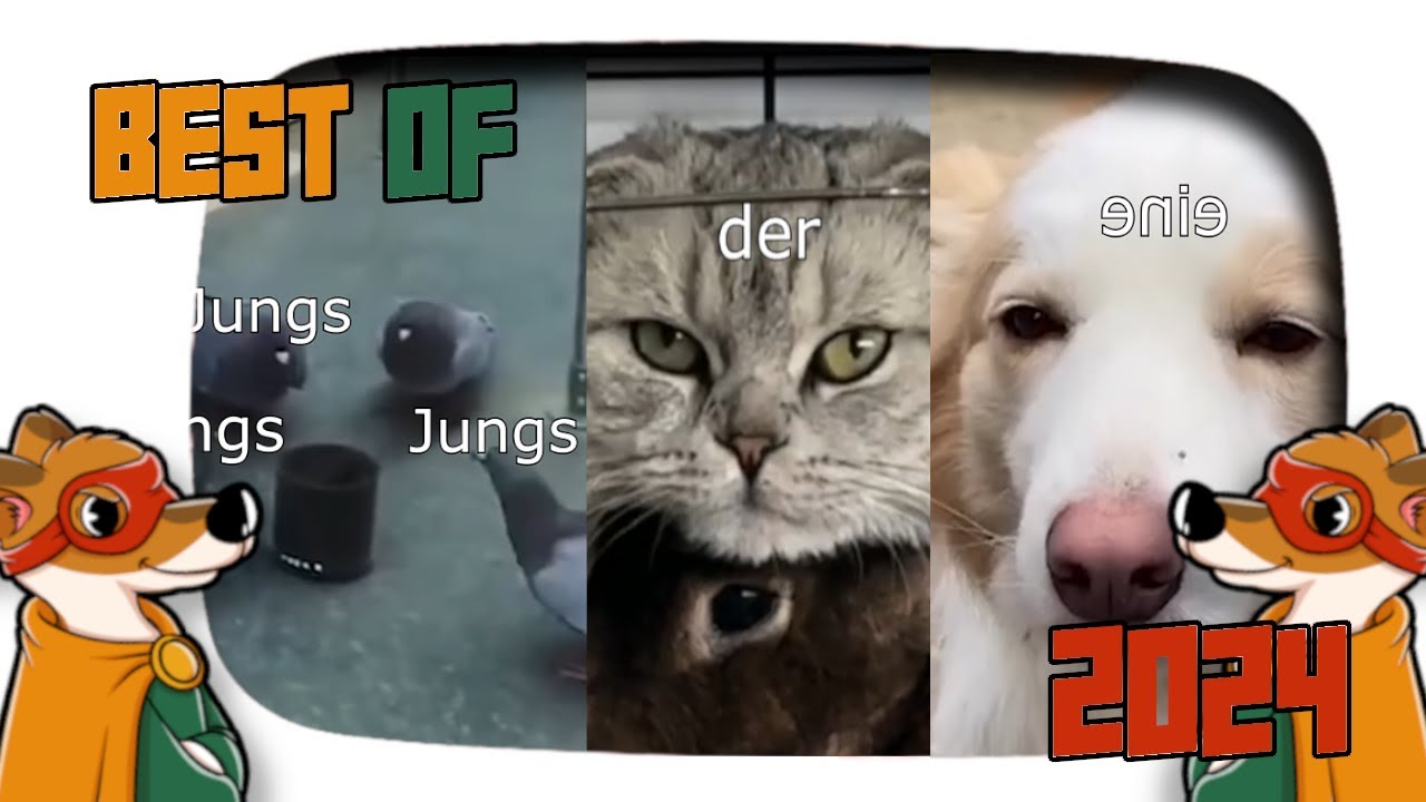 BEST OF 2024 - Lustige sprechende Tiere | 2homiedawgs