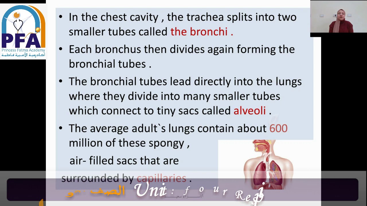 Unit four Respiratory system مصطلحات طبية-الصف الأول 2021-د. إسراء سعيد