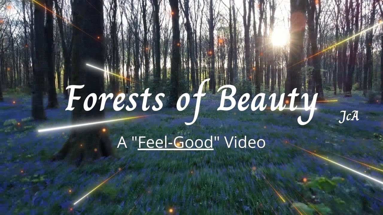 Forests of Beauty - A Feel-Good Video